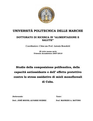 università politecnica delle marche dottorato di ricerca in