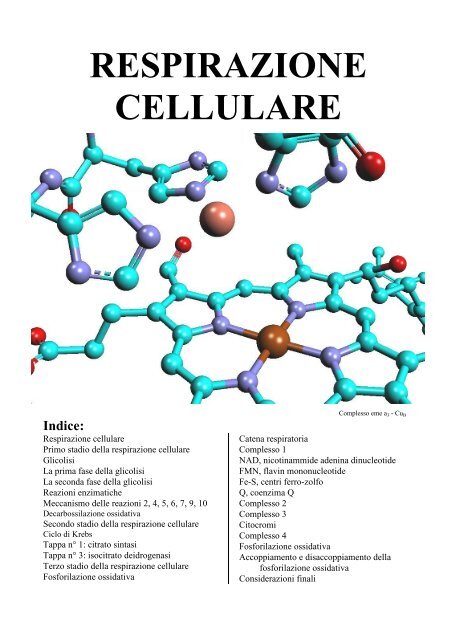 RESPIRAZIONE CELLULARE - PianetaChimica