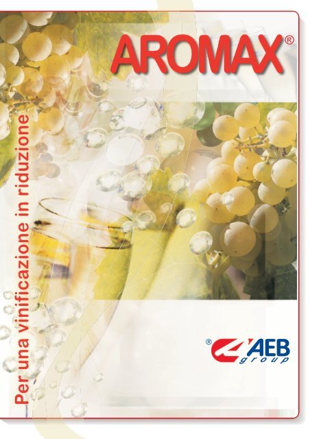 AROMAX depliant 8.5.07.FH11 - aeb group