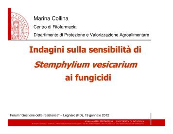 Indagini sulla sensibilità di Stemphylium vesicarium ai fungicidi ...