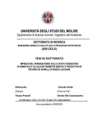 tesi dottorato Presutti.pdf