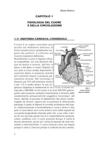 capitolo 1 fisiologia del cuore e della circolazione - Professione ...