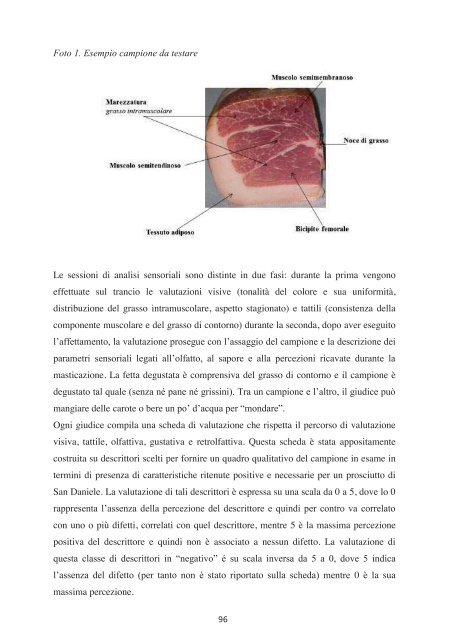 Senza titolo-2 - aafvg associazione allevatori del friuli venezia giulia