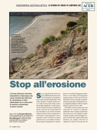 Stop all'erosione Sino - Il Verde Editoriale