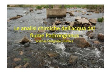 Le analisi chimiche dell'acqua del fiume Padrongianus (PDF - 478 KB)