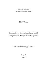 PhD Thesis - doktori