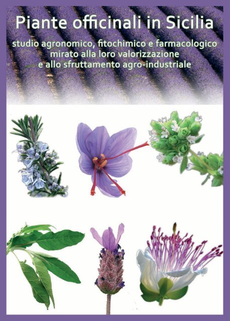 Piante officinali in Sicilia - Portale dell'innovazione - Regione Siciliana