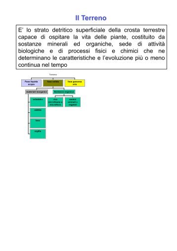 4) Il suolo.pdf - Università degli Studi della Basilicata