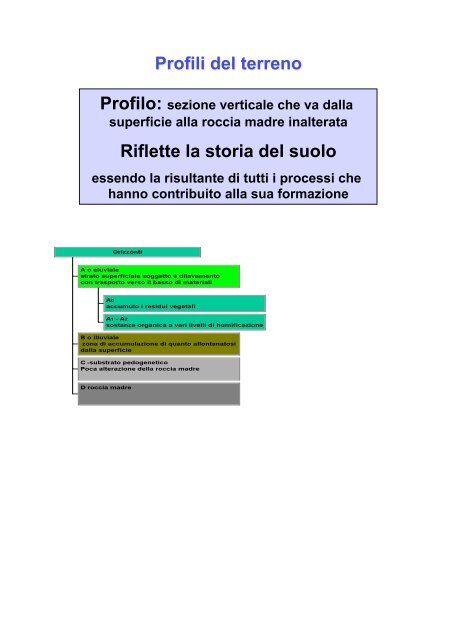 4) Il suolo.pdf - Università degli Studi della Basilicata