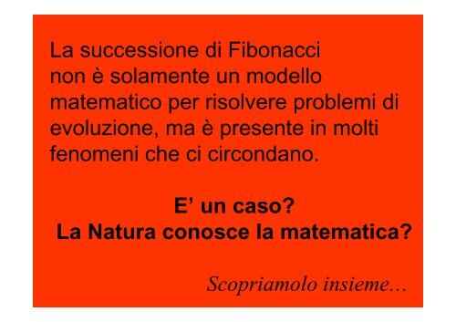 SULLE ORME DI FIBONACCI… - Scuolealmuseo.It