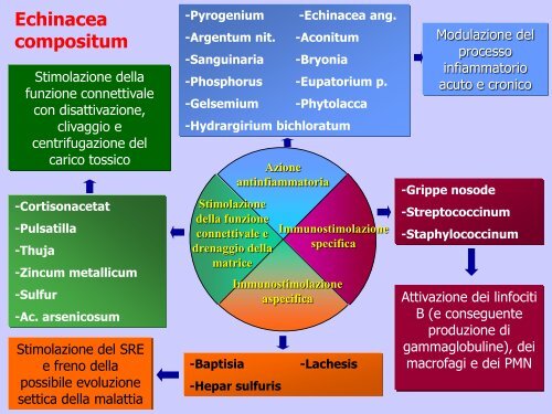 esempio di caso clinico