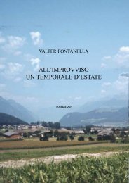 All'improvviso un temporale d'estate - di Valter ... - Nicola Saba