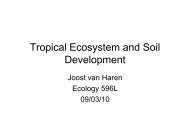 Tropical Ecosystem and Soil Development