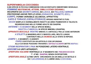 7-FITOMIZI-3- COCCINIGLIE [Sola lettura] [modalità compatibilità]