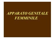 APPARATO GENITALE FEMMINILE - Unimed