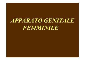 APPARATO GENITALE FEMMINILE - Unimed