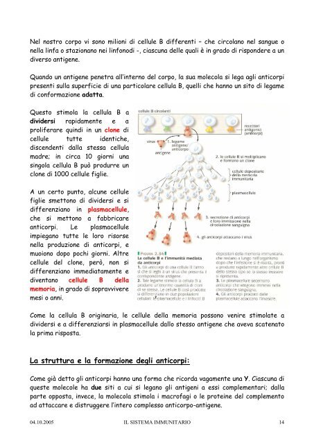 Il sistema immunitario 1 (PDF) - Il sito della QUARTA A