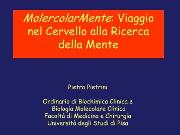 MolercolarMente: Viaggio nel Cervello alla Ricerca della Mente