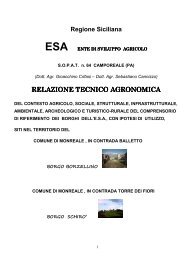 Vedi Relazione Borgo Borzellino e Borgo Schirò - Ente di Sviluppo ...