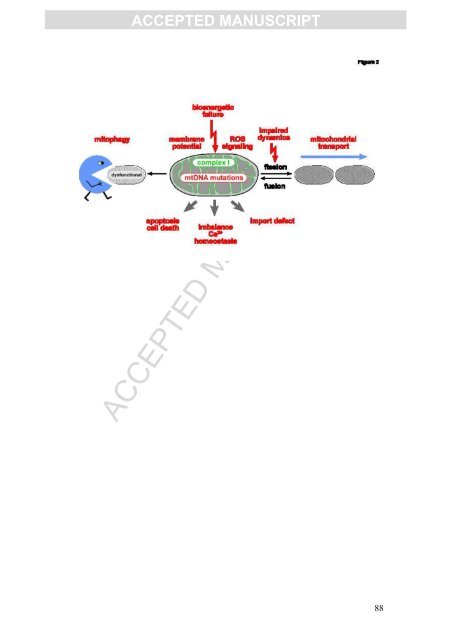 accepted manuscript