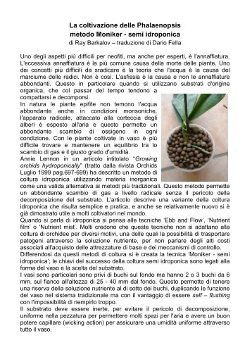 La coltivazione delle Phalaenopsis metodo Moniker - semi idroponica