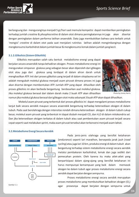 metabolisme energi tubuh & olahraga - Polton Sports Science ...