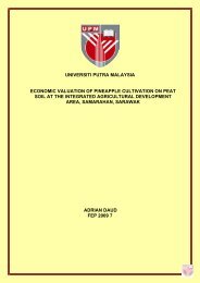universiti putra malaysia economic valuation of pineapple cultivation ...