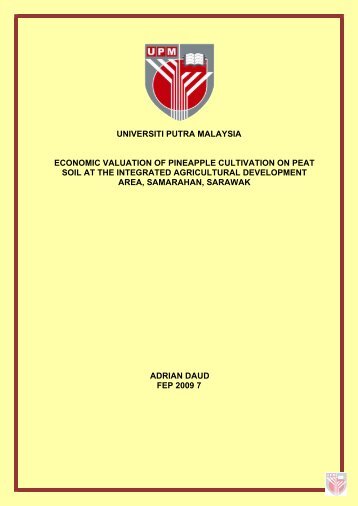 universiti putra malaysia economic valuation of pineapple cultivation ...