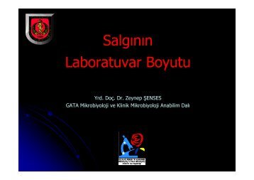 Salgının Laboratuvar Boyutu - Klimik