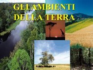 GLI AMBIENTI DELLA TERRA