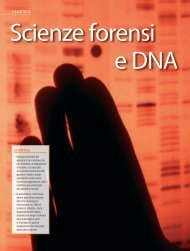 Scienze forensi e Dna