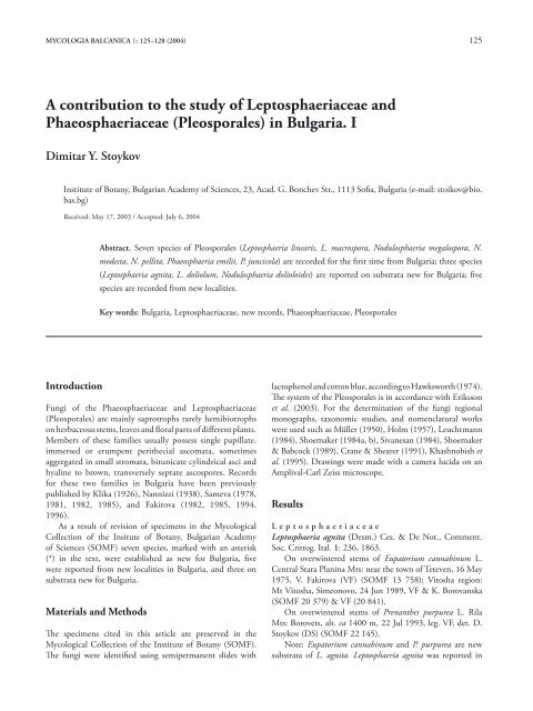A contribution to the study of Leptosphaeriaceae and ...