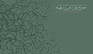 MICOLOGÍA FORESTAL EN NAVARRA