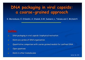 DNA packaging in viral capsids: a coarse-grained approach