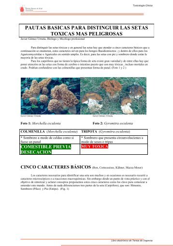 pautas basicas para distinguir las setas toxicas mas ... - Navarra