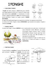 I FUNGHI.pdf - Maestra Raffaella