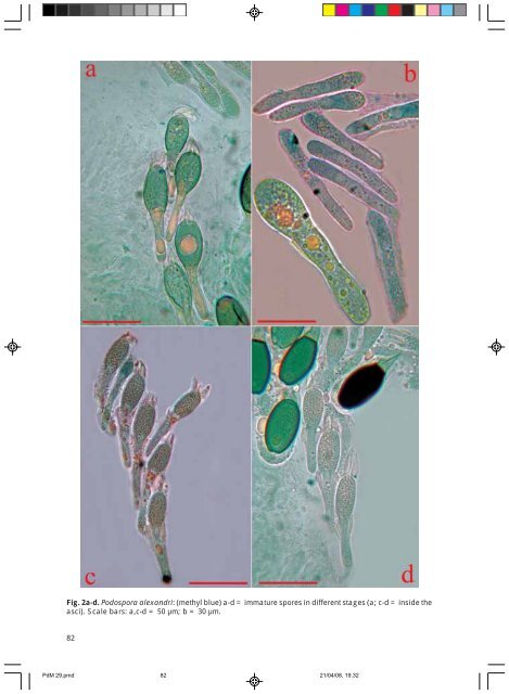 A bibliography of Podospora and Schizothecium, a key to the ...