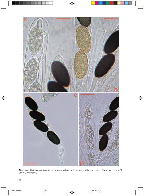 A bibliography of Podospora and Schizothecium, a key to the ...