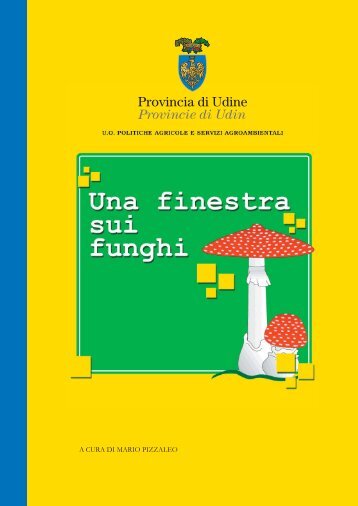Funghi - dispensa - Provincia di Udine