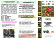 Attività e corsi 2013 del gruppo micologico Bassano - Provincia di ...