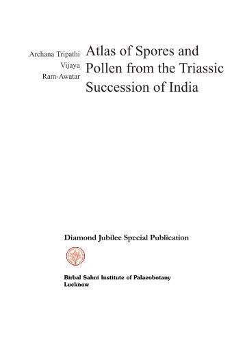 Atlas of Spores and Pollen from the Triassic Succession of India