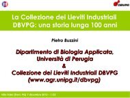 La Collezione dei Lieviti Industriali DBVPG - Fondazionevillafabri.org