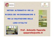 Prof. Antonello Paparella apaparella@unite.it - Aita