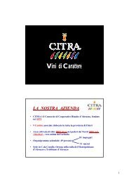 CITRA - Consorzio di Cooperative Riunite d'Abruzzo