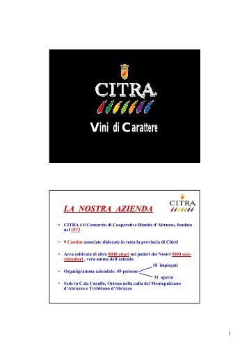 CITRA - Consorzio di Cooperative Riunite d'Abruzzo