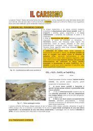 IL CARSISMO.pdf - I.T.C. Zanon