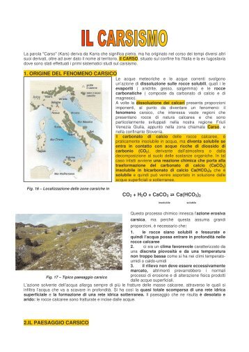 IL CARSISMO.pdf - I.T.C. Zanon