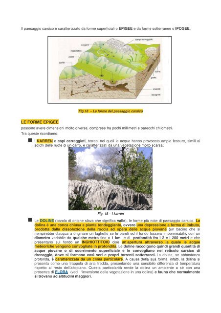 IL CARSISMO.pdf - I.T.C. Zanon