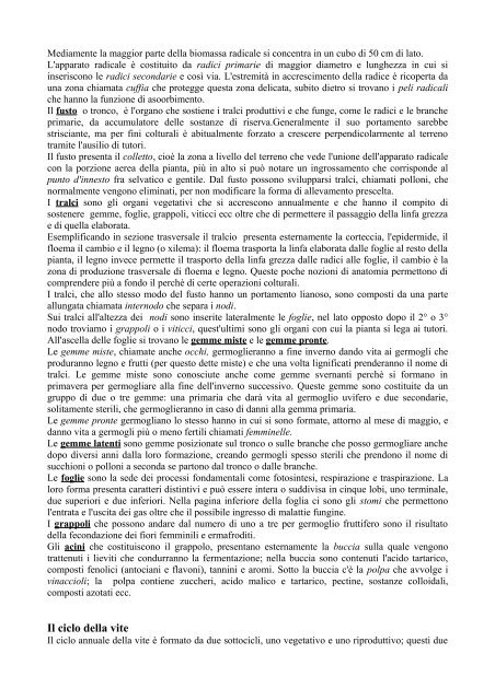 pdf della 1 lezione - Autistici