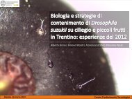 2013 Ciliegio-Drosophila suzukii-FEM